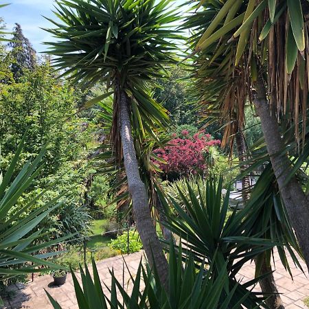 Little Gem With Private Hot Tub - Up To 25 Percent Off Ferry Apartman Shanklin Kültér fotó