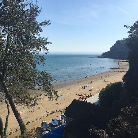 Little Gem With Private Hot Tub - Up To 25 Percent Off Ferry Apartman Shanklin Kültér fotó